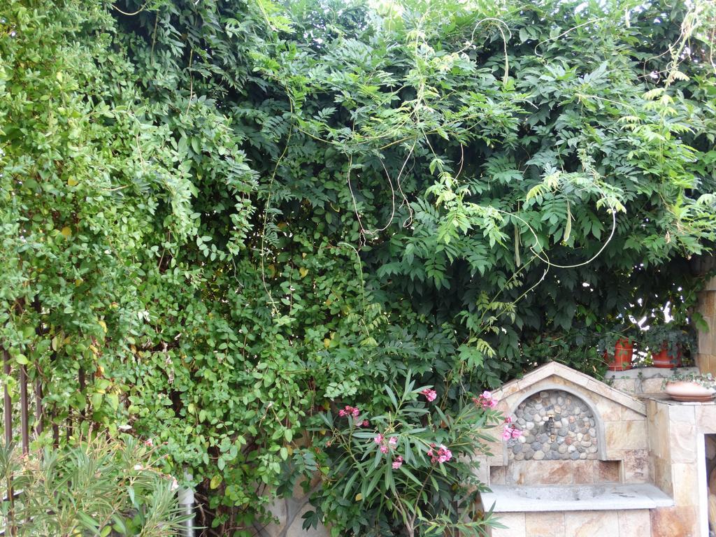 Guest House Ivel Sapareva Banya ภายนอก รูปภาพ