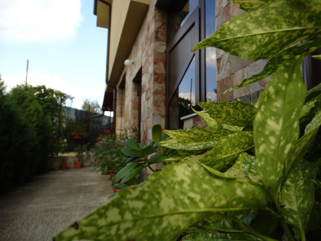 Guest House Ivel Sapareva Banya ภายนอก รูปภาพ